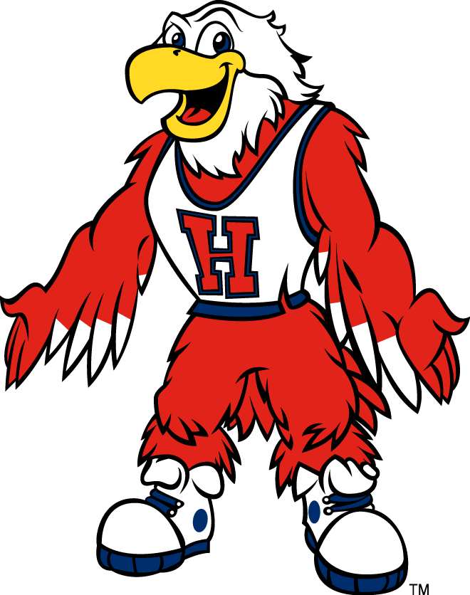 Hartford Hawks 1995-Pres Mascot Logo iron on paper